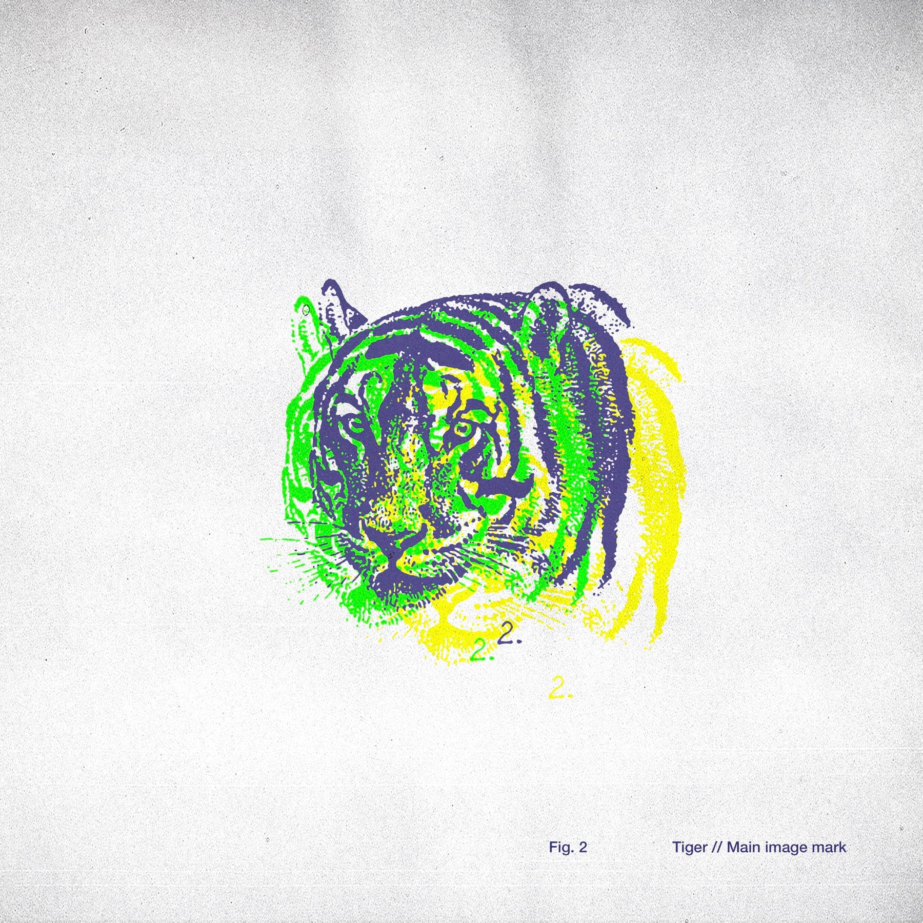 Layered tiger illustration from the Stillman identity